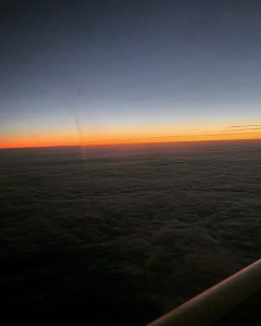 D0FBA203-C838-41CF-B0E7-FB3DA572A76A